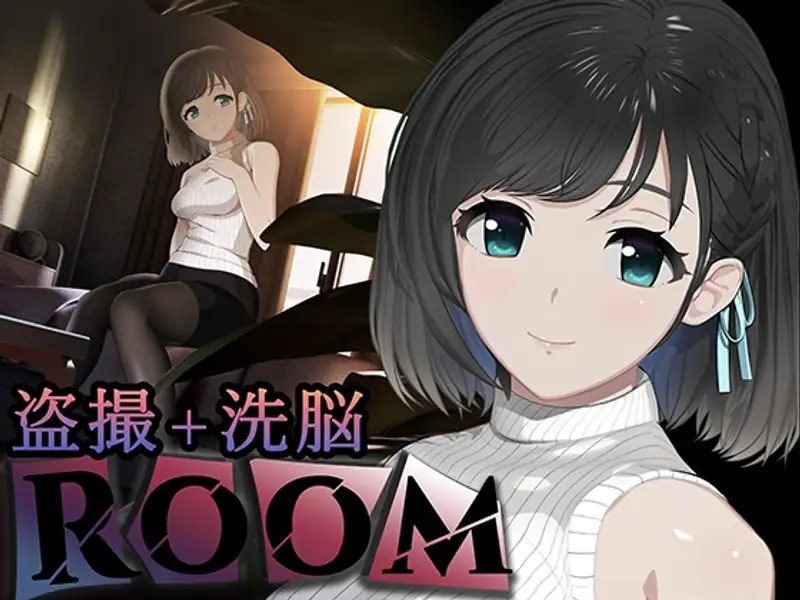 ROOM ROOM游戏攻略日程选择入门指南 封面图